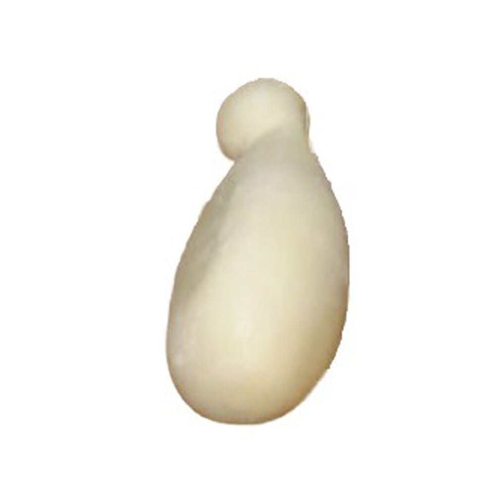 Scamorza, latte 100% lucano. 500 gr circa - Caseificio Pessolani Nicola